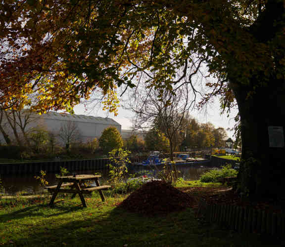 Due Diligence Focus Image